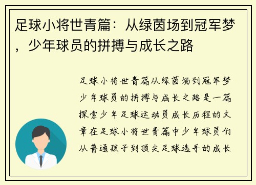 足球小将世青篇：从绿茵场到冠军梦，少年球员的拼搏与成长之路
